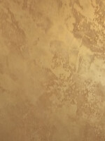 Colore & Oro Ricco Gold 1 Liter