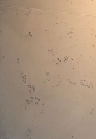 BETON Style Kunstoff & Mineralisch 1 gallery