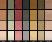 I Colore del India ( I ) gallery