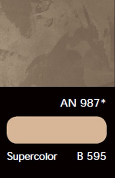 AN 987*