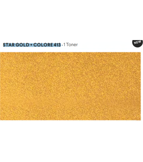 STAR GOLD + COLORE 413