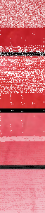 AA