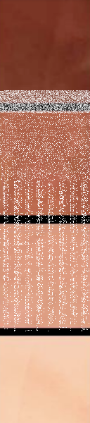 AM