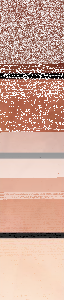 AM